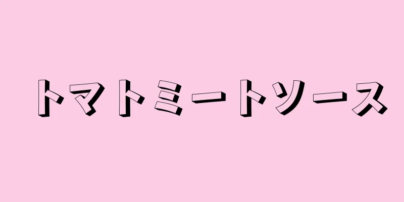 トマトミートソース