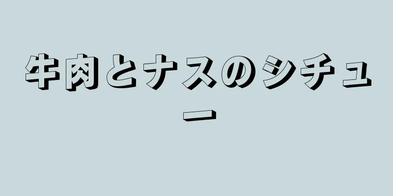牛肉とナスのシチュー
