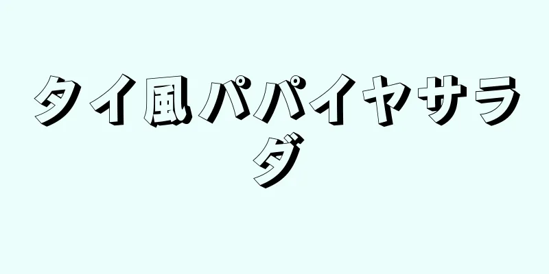 タイ風パパイヤサラダ