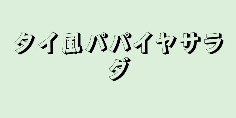 タイ風パパイヤサラダ