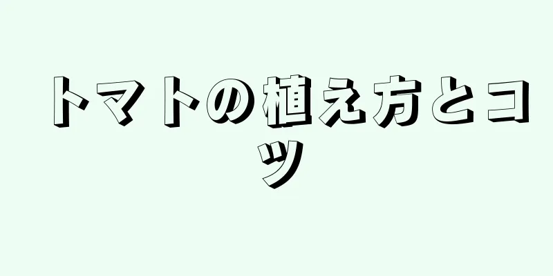 トマトの植え方とコツ