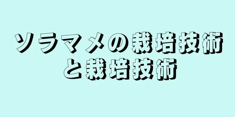 ソラマメの栽培技術と栽培技術