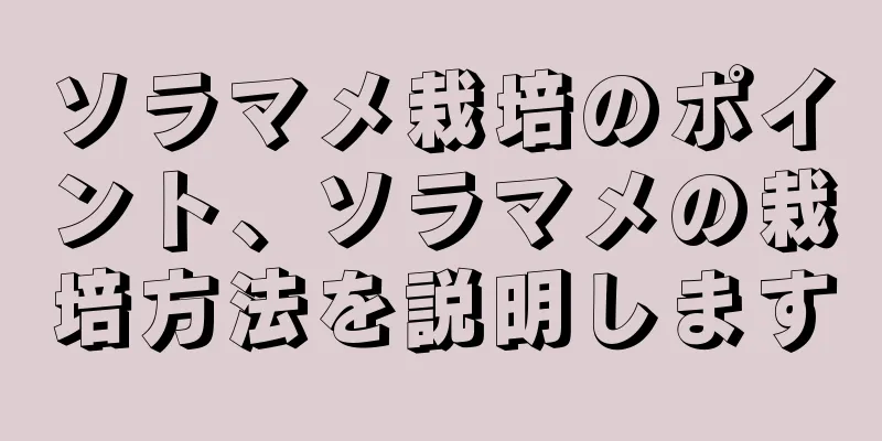 ソラマメ栽培のポイント、ソラマメの栽培方法を説明します