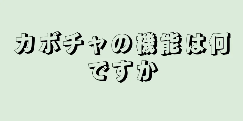 カボチャの機能は何ですか