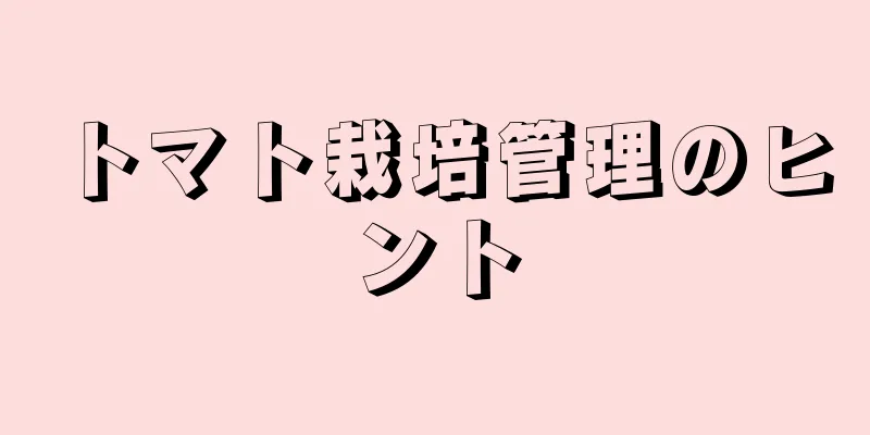 トマト栽培管理のヒント