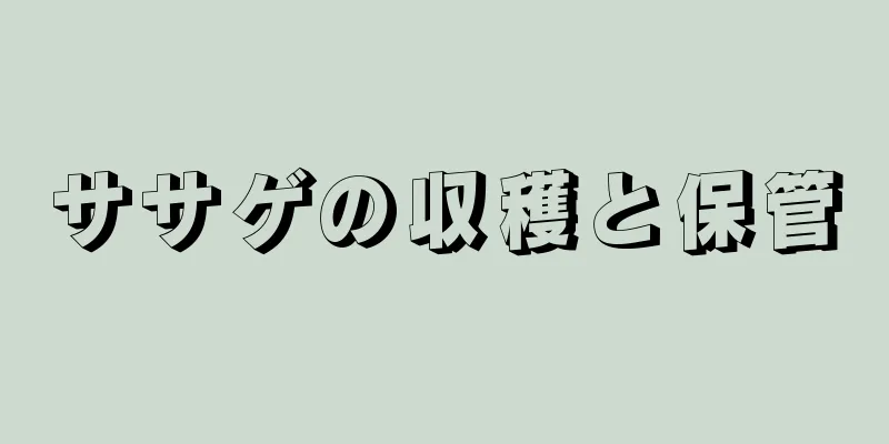 ササゲの収穫と保管