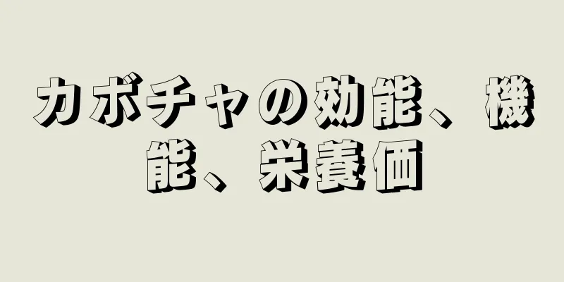 カボチャの効能、機能、栄養価