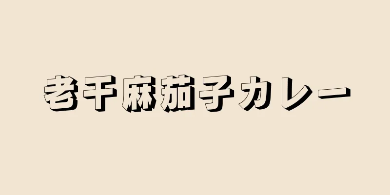 老干麻茄子カレー