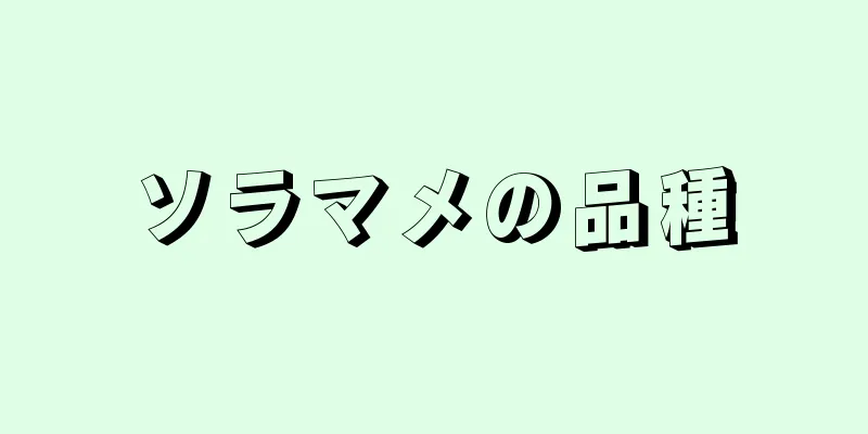 ソラマメの品種