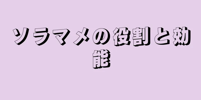 ソラマメの役割と効能