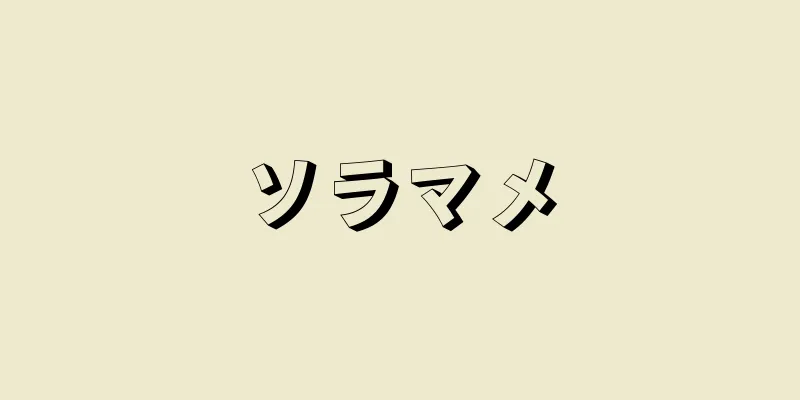 ソラマメ