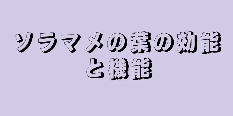 ソラマメの葉の効能と機能