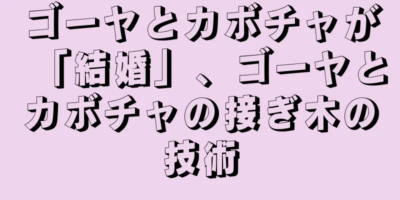 ゴーヤとカボチャが「結婚」、ゴーヤとカボチャの接ぎ木の技術