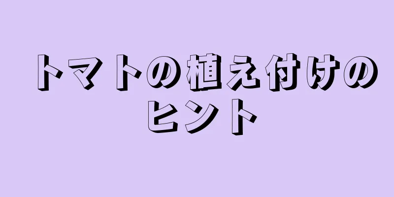トマトの植え付けのヒント