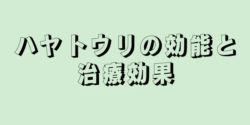 ハヤトウリの効能と治療効果