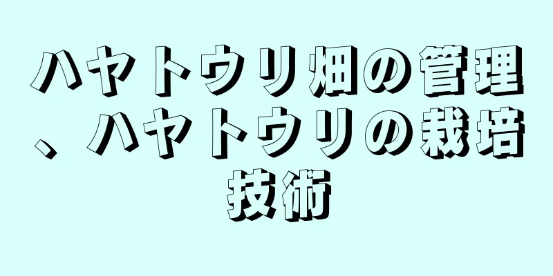 ハヤトウリ畑の管理、ハヤトウリの栽培技術