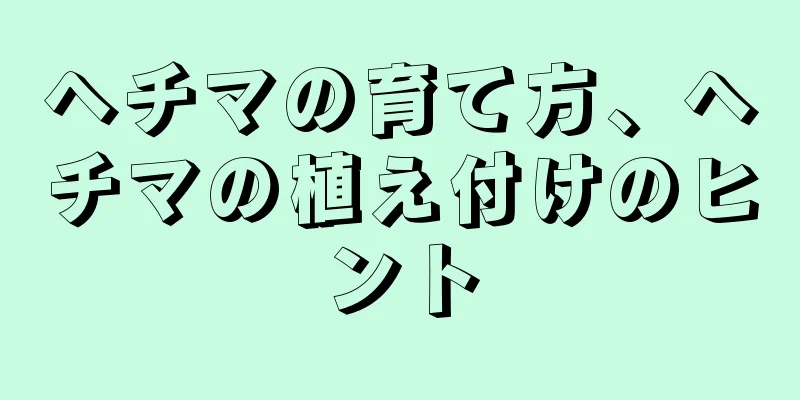 ヘチマの育て方、ヘチマの植え付けのヒント