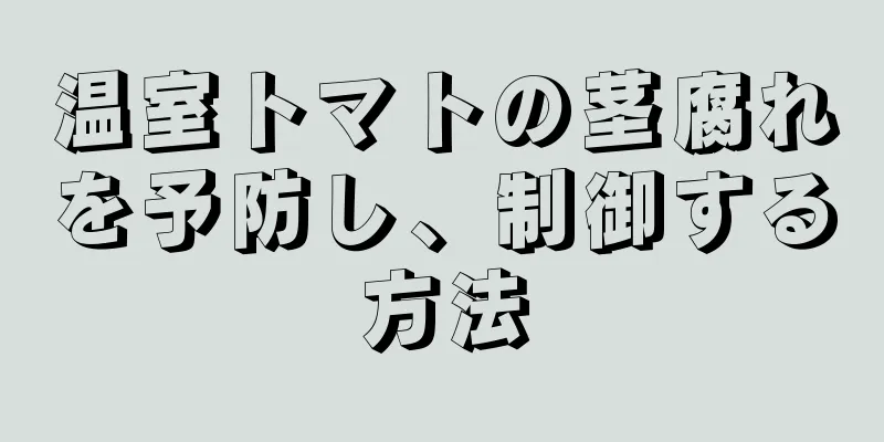 温室トマトの茎腐れを予防し、制御する方法