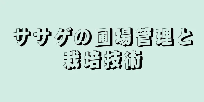 ササゲの圃場管理と栽培技術