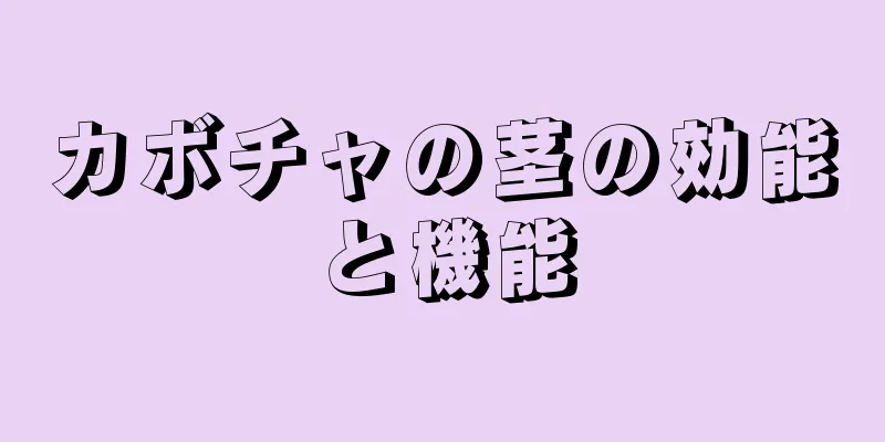 カボチャの茎の効能と機能