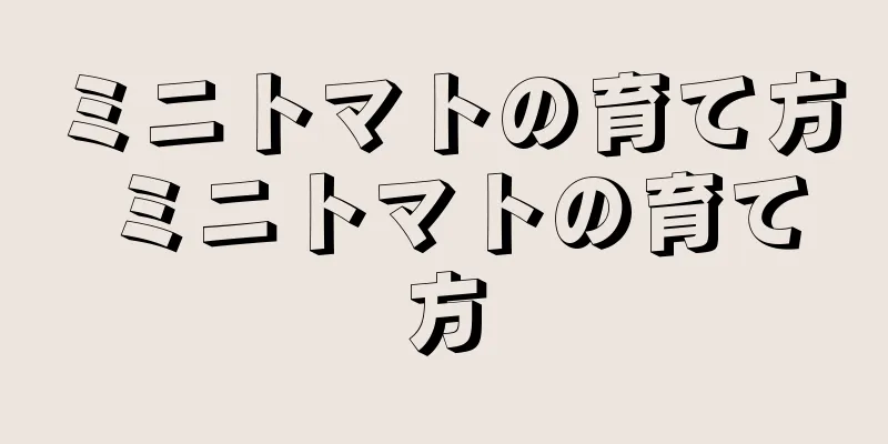 ミニトマトの育て方 ミニトマトの育て方
