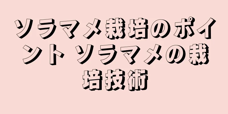 ソラマメ栽培のポイント ソラマメの栽培技術