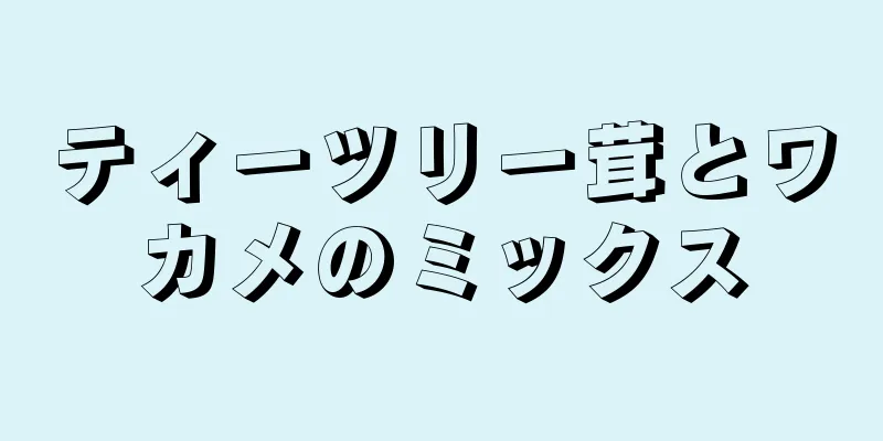 ティーツリー茸とワカメのミックス