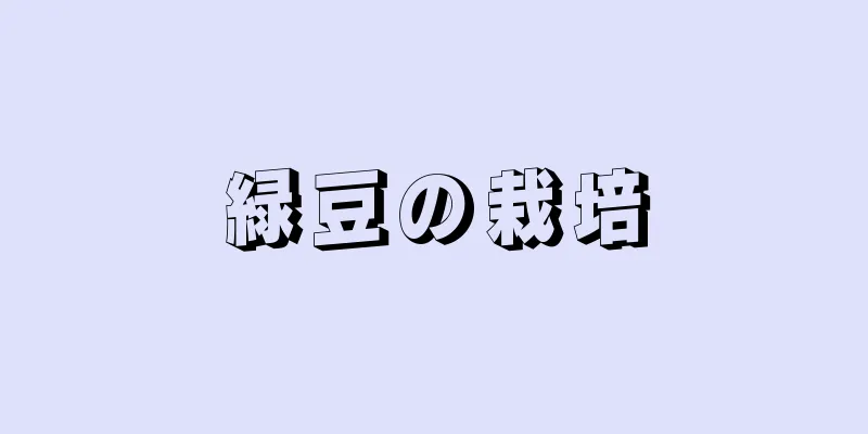 緑豆の栽培