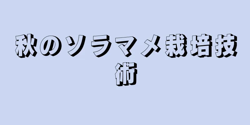 秋のソラマメ栽培技術
