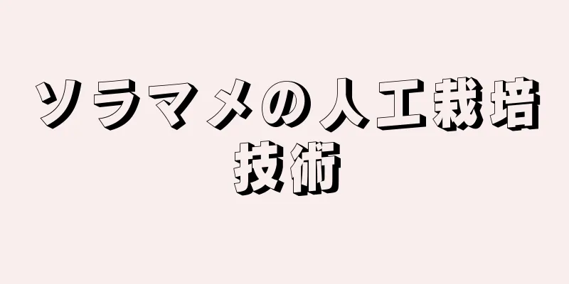 ソラマメの人工栽培技術