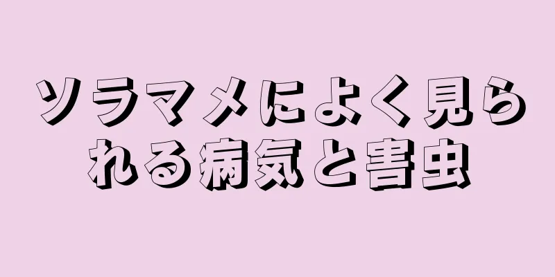 ソラマメによく見られる病気と害虫