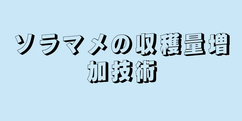 ソラマメの収穫量増加技術