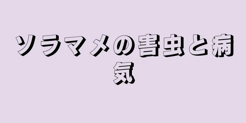 ソラマメの害虫と病気