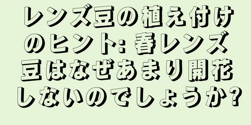 レンズ豆の植え付けのヒント: 春レンズ豆はなぜあまり開花しないのでしょうか?