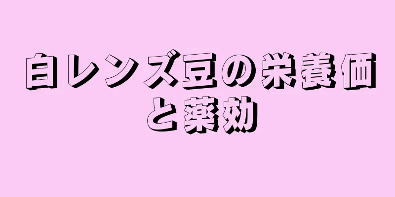 白レンズ豆の栄養価と薬効