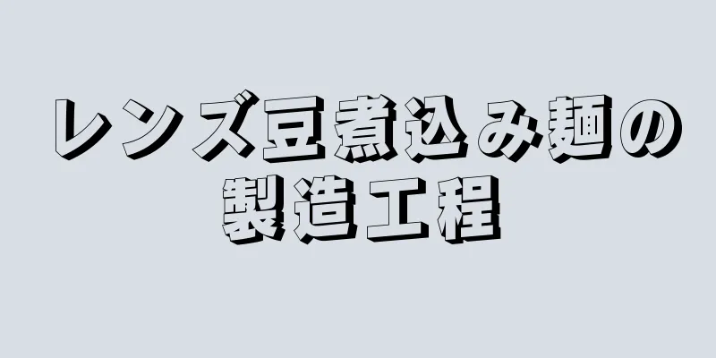 レンズ豆煮込み麺の製造工程