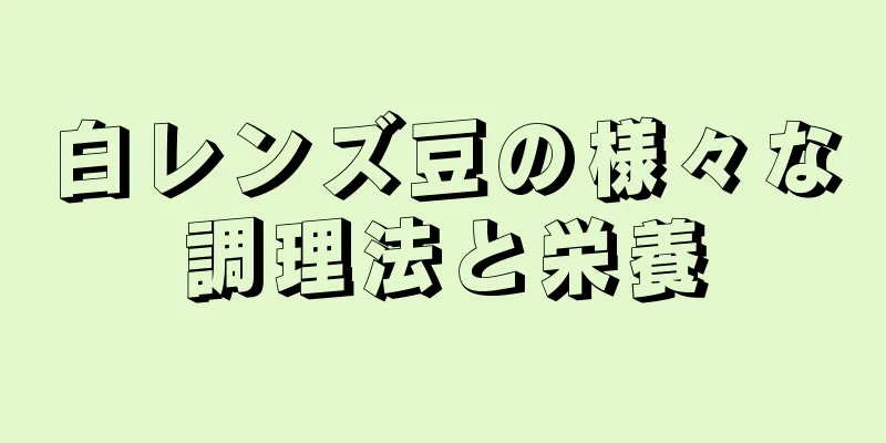 白レンズ豆の様々な調理法と栄養