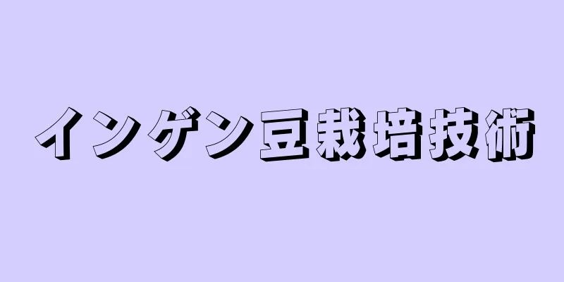 インゲン豆栽培技術