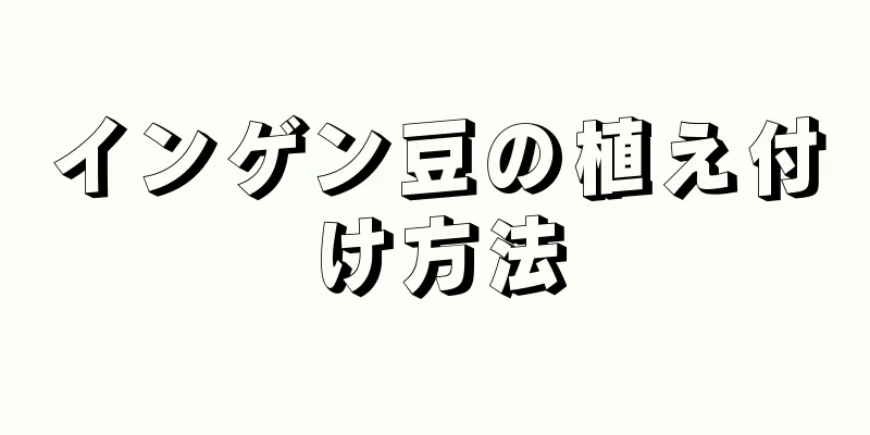 インゲン豆の植え付け方法