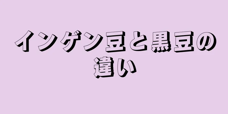 インゲン豆と黒豆の違い