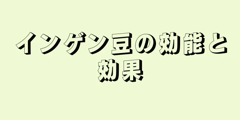 インゲン豆の効能と効果