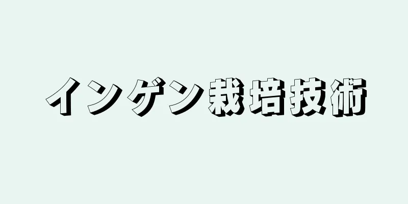 インゲン栽培技術