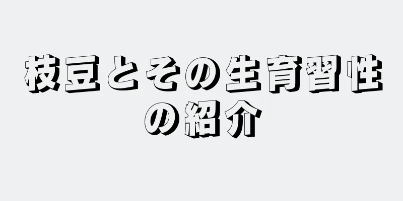 枝豆とその生育習性の紹介