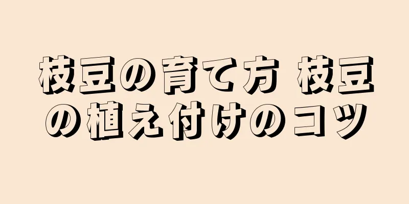 枝豆の育て方 枝豆の植え付けのコツ