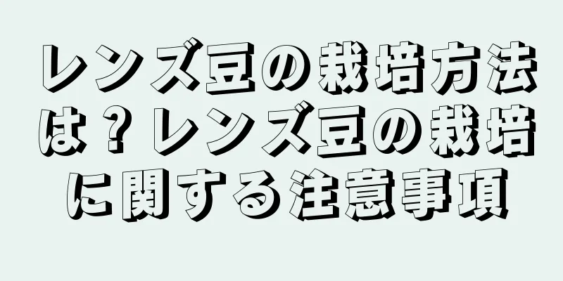 レンズ豆の栽培方法は？レンズ豆の栽培に関する注意事項
