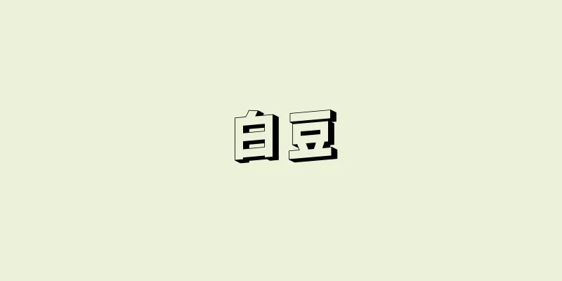 白豆