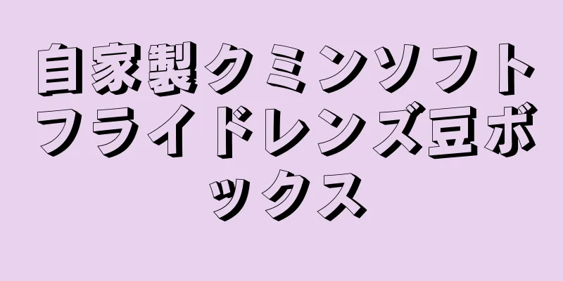 自家製クミンソフトフライドレンズ豆ボックス