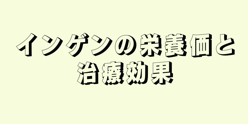 インゲンの栄養価と治療効果