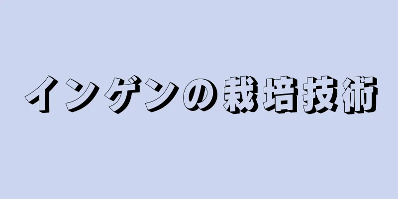 インゲンの栽培技術