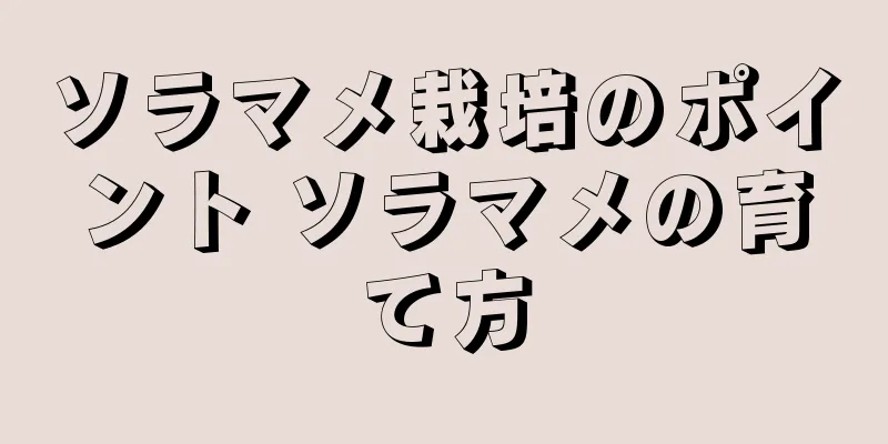 ソラマメ栽培のポイント ソラマメの育て方